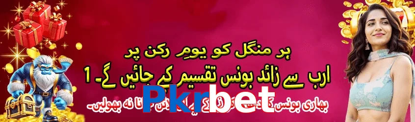 Pkrbet interface sample